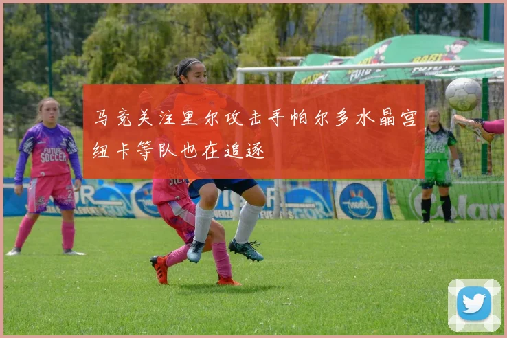 马竞关注里尔攻击手帕尔多水晶宫纽卡等队也在追逐