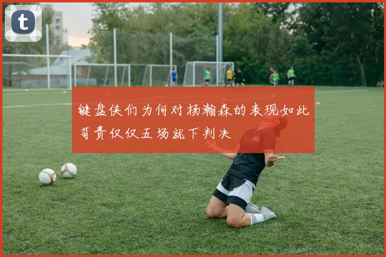 键盘侠们为何对杨瀚森的表现如此苛责仅仅五场就下判决