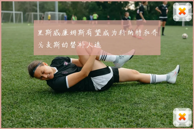 里斯威廉姆斯有望成为科纳特和乔戈麦斯的替补人选