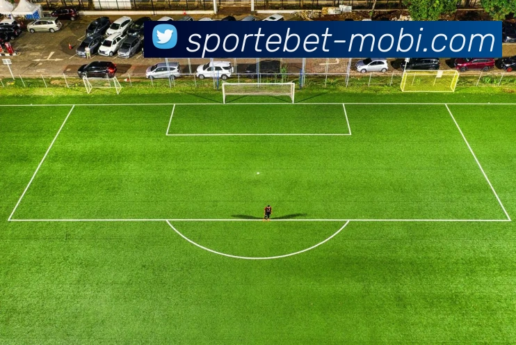 易倍体育平台生态图